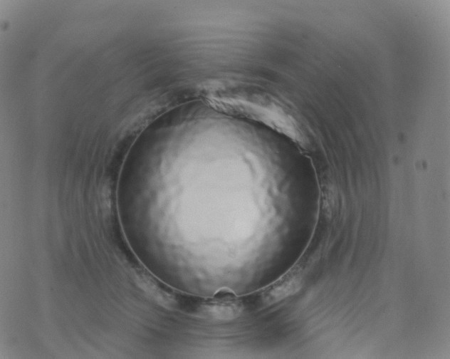 X0000076420466200610202224