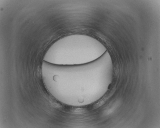 X0000076420467200610202224