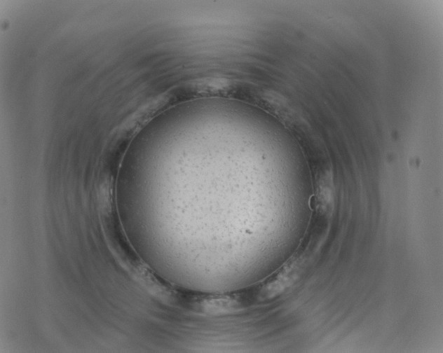 X0000076420468200610202224