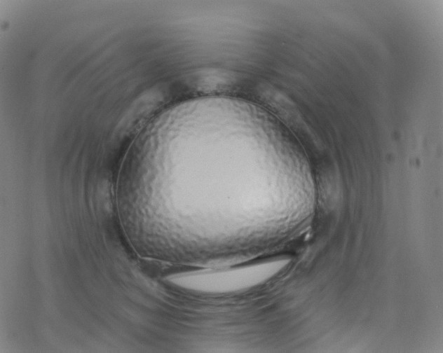 X0000076420470200610202224