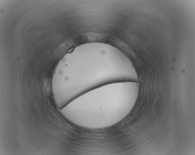 X0000076420471200610202224