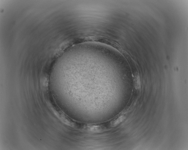 X0000076420472200610202224