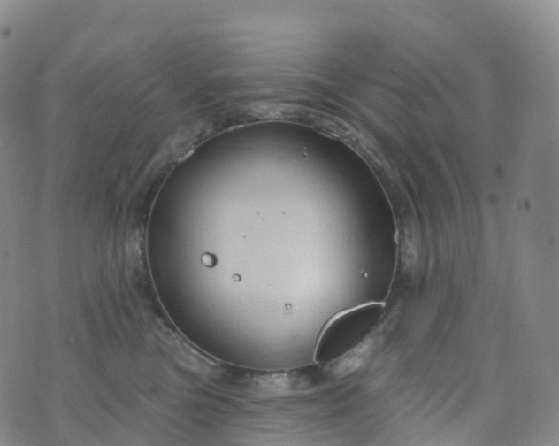 X0000076420473200610202224