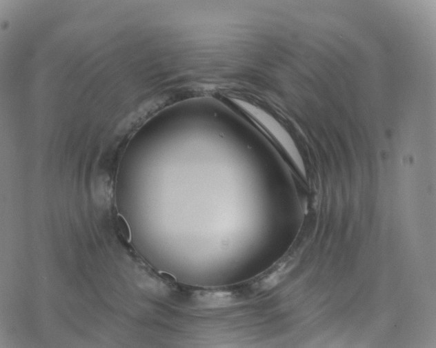 X0000076420476200610202224