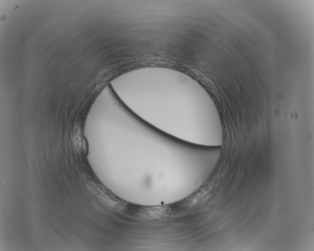 X0000076420479200610202224