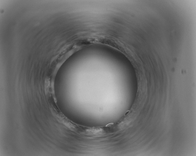 X0000076420480200610202224