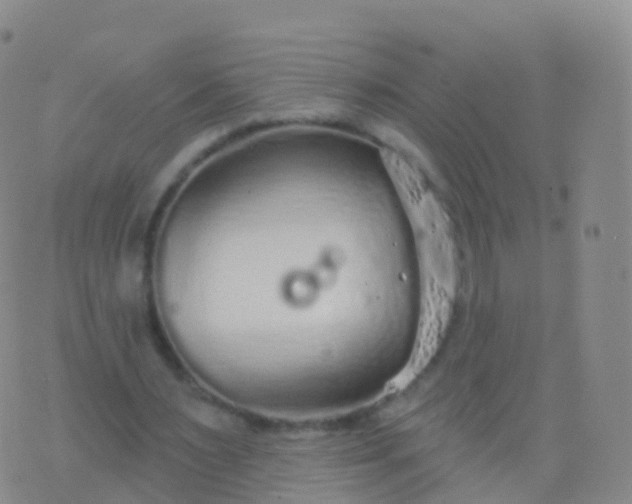 X0000076420483200610202224