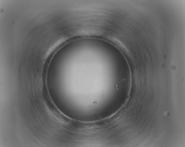 X0000076420488200610202224