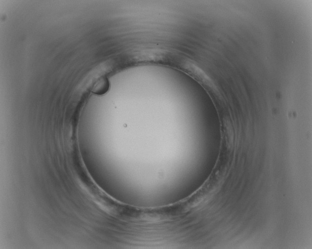 X0000076420490200610202223