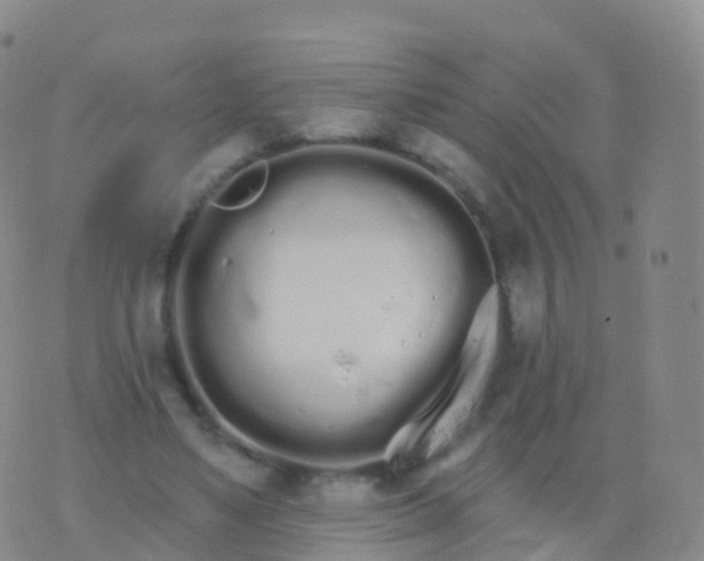 X0000076420491200610202223