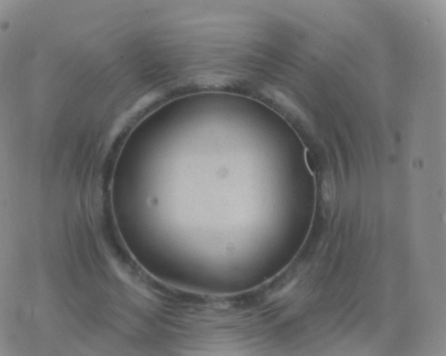 X0000076420492200610202223