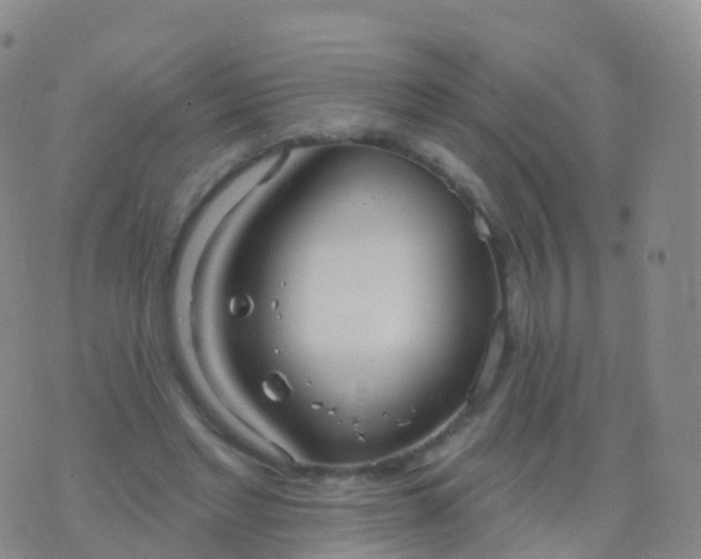 X0000076420493200610202223