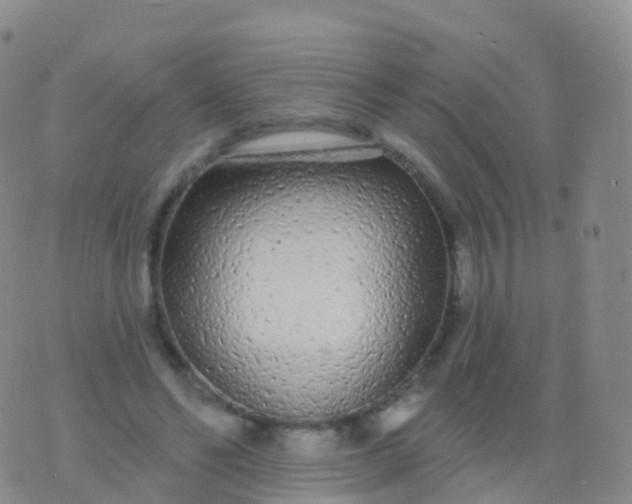 X0000076420494200610202223