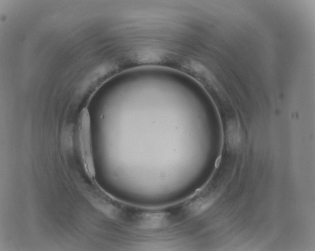 X0000076420495200610202223