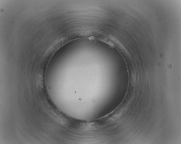 X0000076420497200610202223