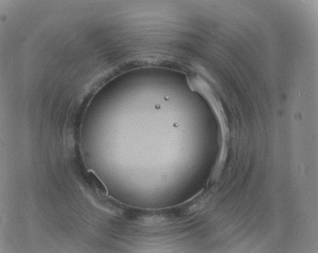 X0000076420500200610202223