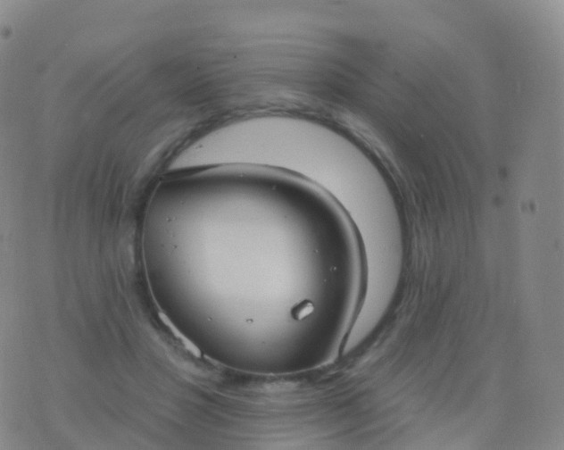 X0000076420501200610202223