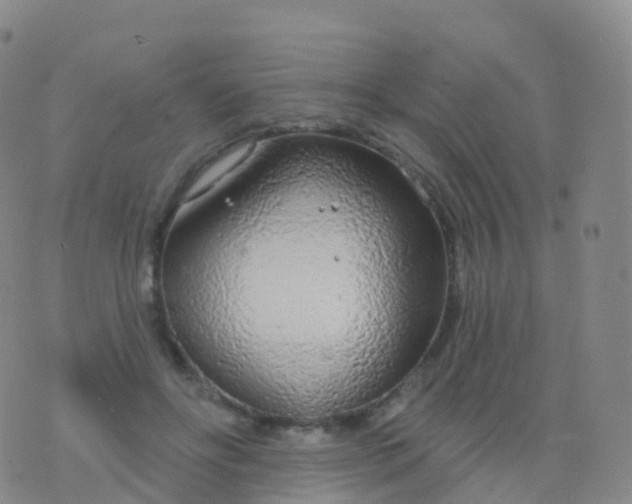 X0000076420502200610202223