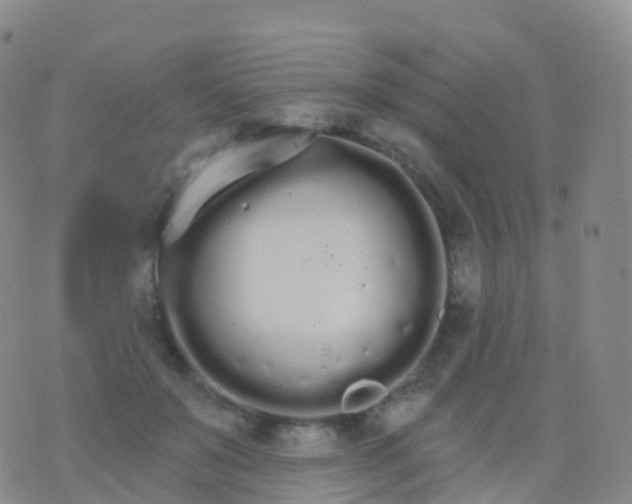 X0000076420503200610202223