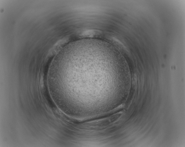 X0000076420504200610202223