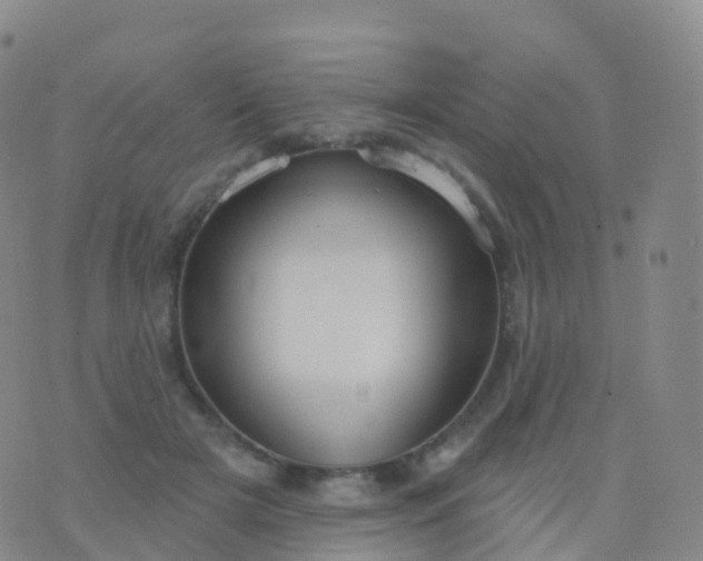 X0000076420505200610202223