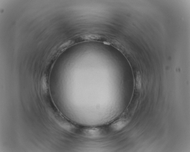 X0000076420506200610202223