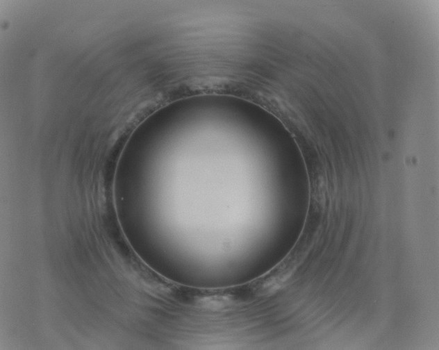 X0000076420508200610202223