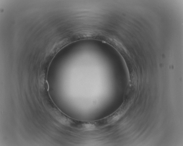 X0000076420509200610202223