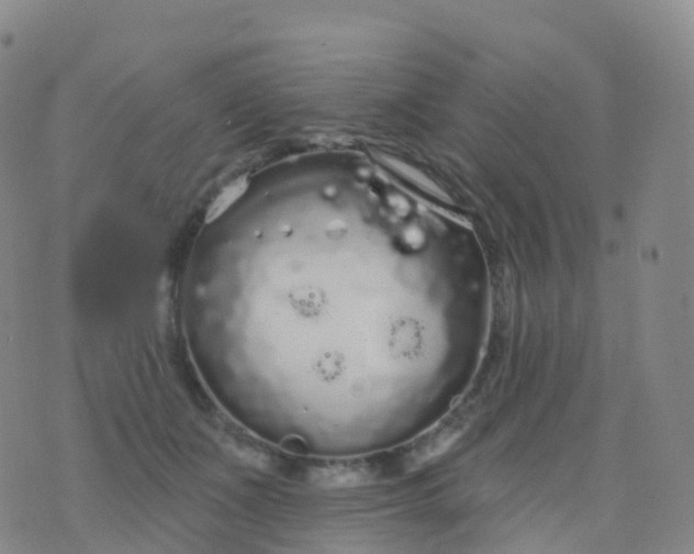 X0000076420511200610202223