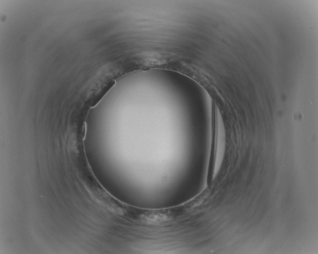 X0000076420512200610202223