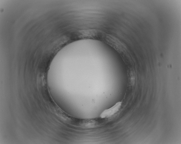 X0000076420514200610202223