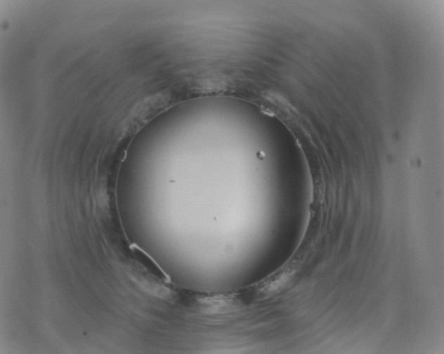 X0000076420516200610202223