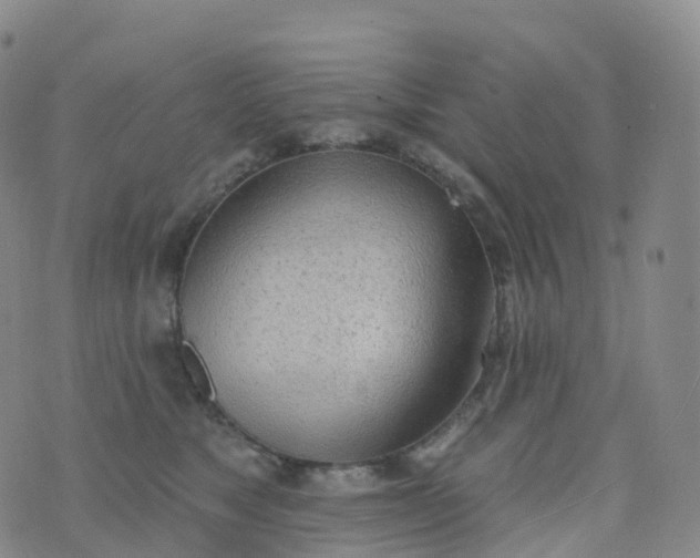 X0000076420517200610202223