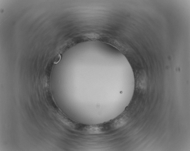 X0000076420518200610202223