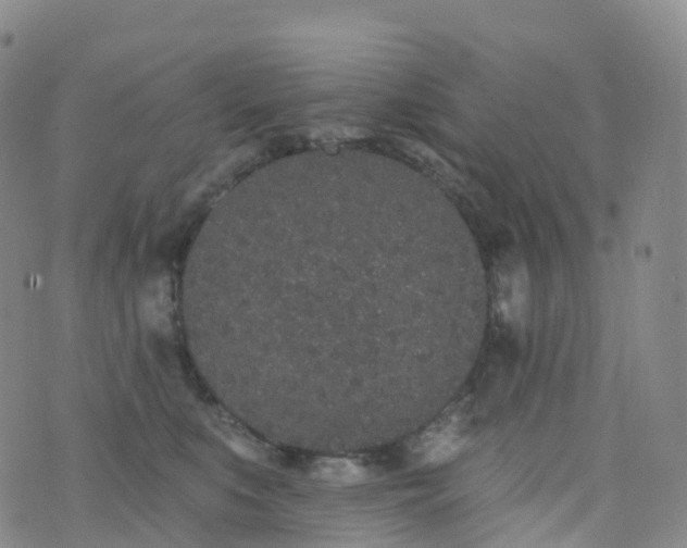 X0000076420519200610202223