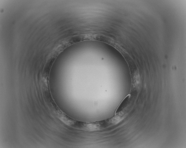 X0000076420522200610202223