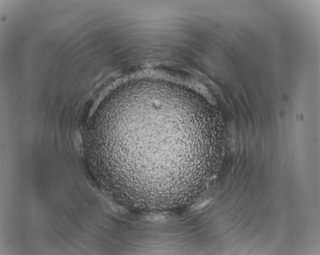 X0000076420523200610202223