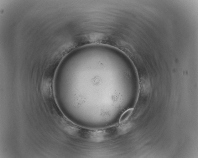 X0000076420527200610202223