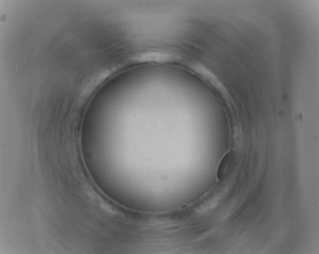 X0000076420529200610202222