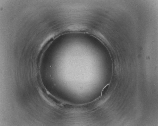 X0000076420530200610202222