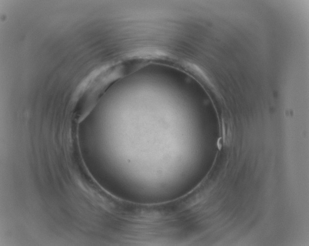 X0000076420531200610202222