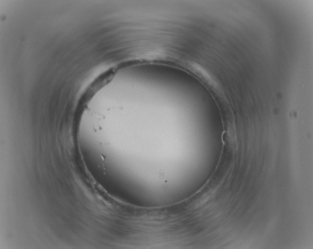 X0000076420532200610202222