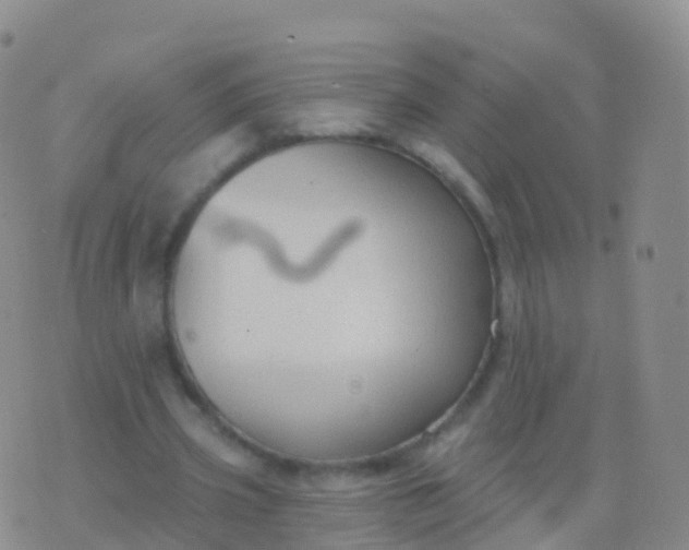 X0000076420533200610202222