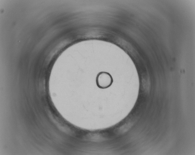 X0000076420534200610202222