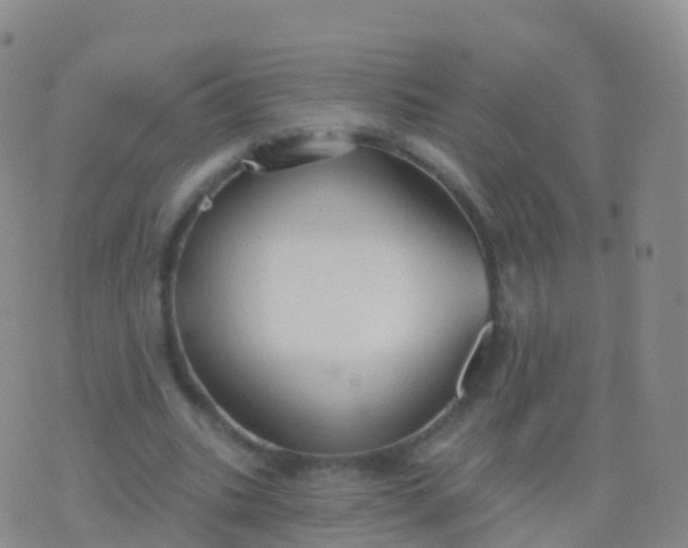 X0000076420535200610202222