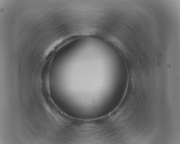 X0000076420536200610202222