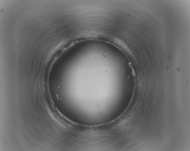 X0000076420538200610202222