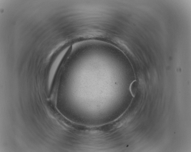 X0000076420539200610202222