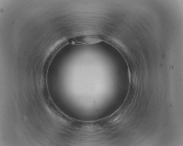 X0000076420540200610202222