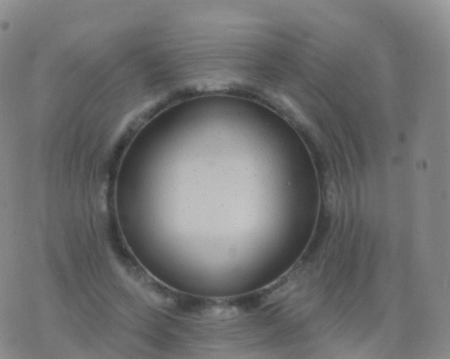 X0000076420543200610202222